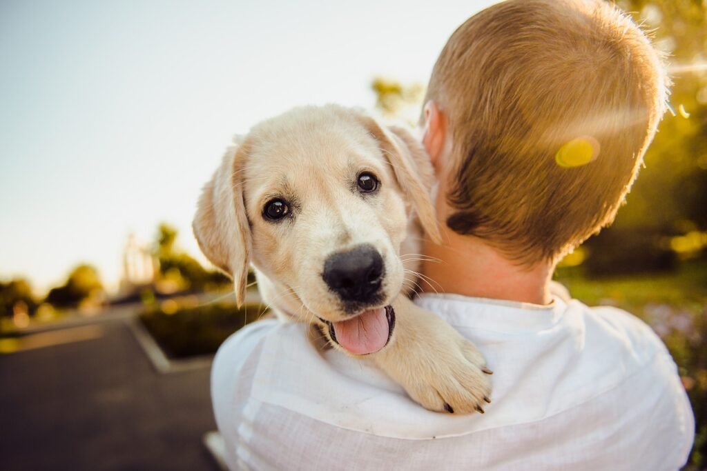 Unleashing Love, Compassion, and Second Chances through Pet Adoption